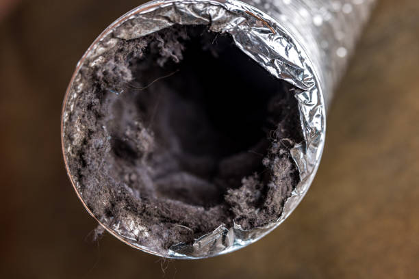 Best Local Air Duct Cleaning Services  in Vadnais Heights, MN